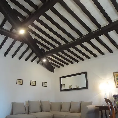 Apartment Il Pino Collesalvetti