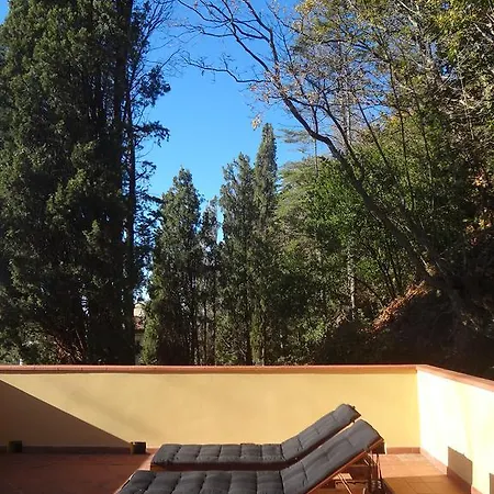 Il Pino Apartment Collesalvetti