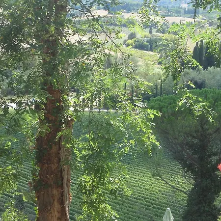 Il Pino *