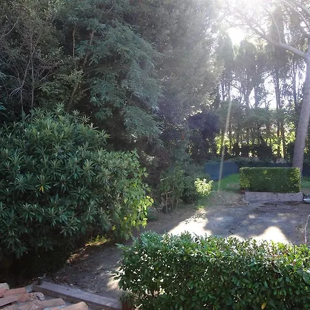 Apartment Il Pino Collesalvetti