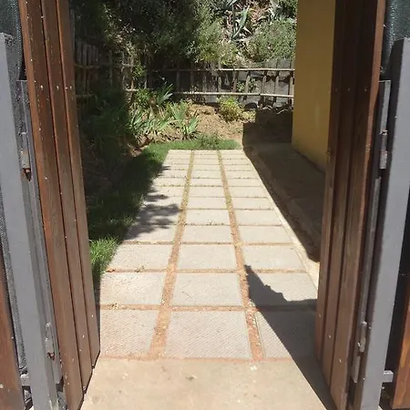 Apartment Il Pino Collesalvetti